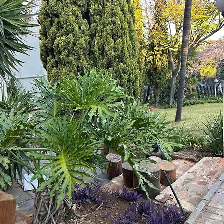 Garden Studio In Waterkloof Ridge Pretoria Exterior photo