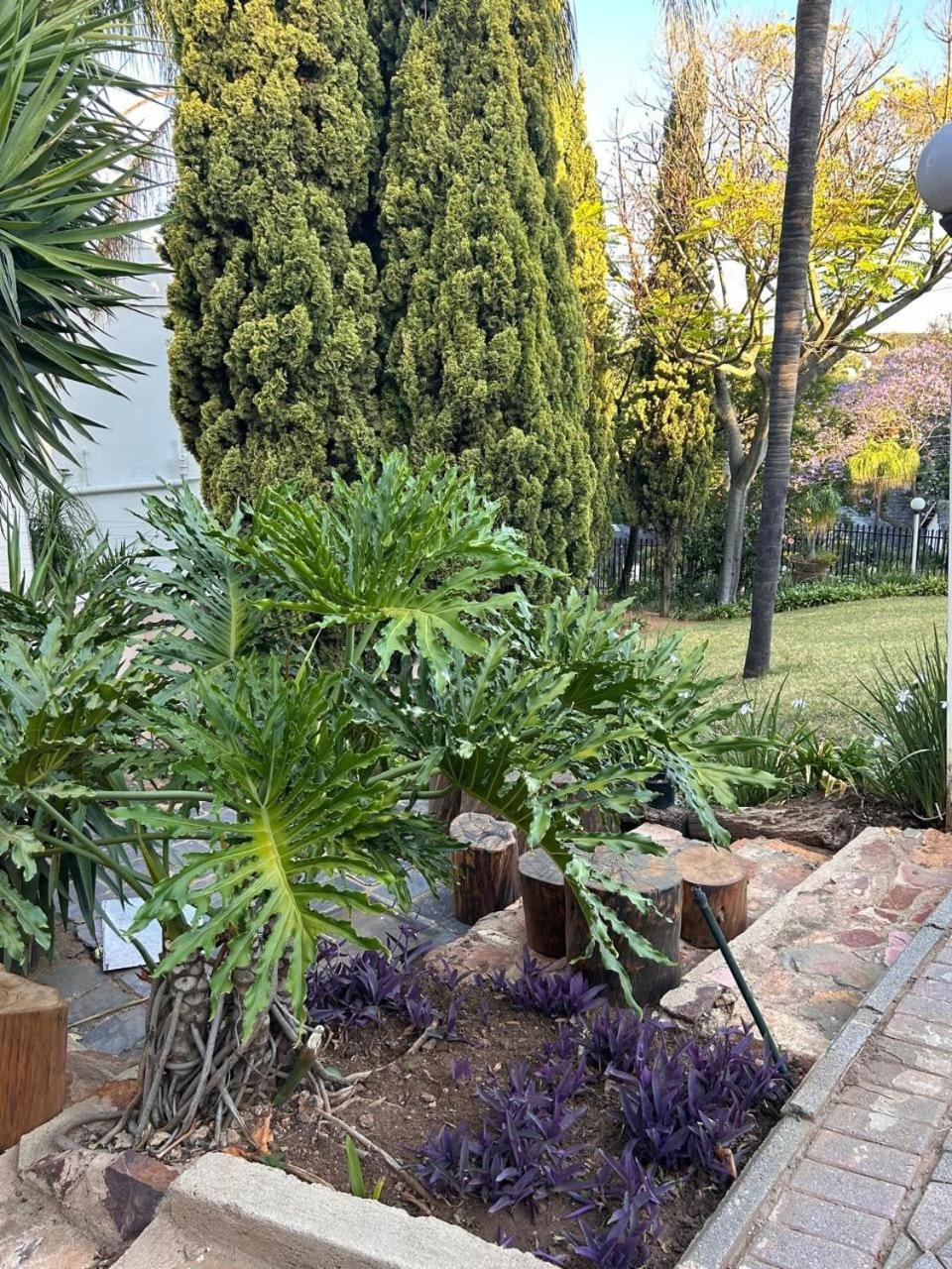 Garden In Waterkloof Ridge Accommodatie bij particulieren *
